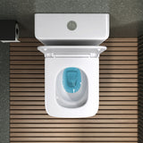 glasvilla Stand WC mit Spülkasten spülrandloses-WC bodenstehende-Toilette aus Keramik, weiß/matt schwarz  36x63x82cm, mit Absenkautomatik inkl. Spülkasten, Stand112T
