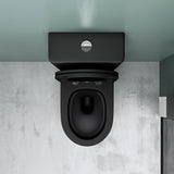 glasvilla Stand WC mit Spülkasten spülrandloses-WC bodenstehende-Toilette aus Keramik, weiß/matt schwarz  36x63x82cm, mit Absenkautomatik, inkl. Spülkasten, Stand179T