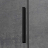 glasvilla Duschkabine Schiebetür 6mm ESG-Sicherheitsglas Duschabtrennung Soft-Close-Mechanismus Seitenanstieg Ravenna12K Schwarz