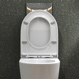 glasvilla Spülrandlos Wand WC Hänge WC Spülrandloses Toilette Softclose WC-Sitz Aachen108