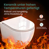 glasvilla Wand WC spülrandlos Schwarz Hänge WC spülrandlos Toilette WC mit Sitz Softclose Aachen179