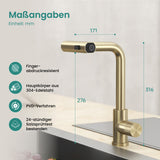 glasvilla Wasserhahn Küche Küchenarmatur mit Brause Ausziehbar, Küchenwasserhahn 360°Schwenkbar 3 Sprühfunktionen, Mischbatterie Spültischarmatur aus Edelstahl Turnix-02