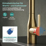 glasvilla Wasserhahn Küche Küchenarmatur mit Brause Ausziehbar, Küchenwasserhahn 360°Schwenkbar, Mischbatterie Spültischarmatur aus Edelstahl Turnix-04
