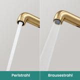 glasvilla Wasserhahn Küche Küchenarmatur mit Brause Ausziehbar, Küchenwasserhahn 360°Schwenkbar, Mischbatterie Spültischarmatur aus Edelstahl Turnix-04